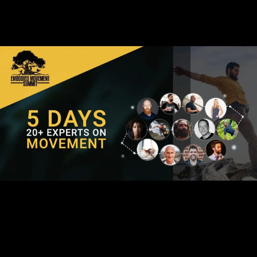 Check out American Parkour Founder Mark Toorock's talk "Individual Together: Building Parkour and Movement Communities" as part of the Embodied Movement Summit. Please use APK's affiliate link (LINK IN BIO) to get your free ticket to this incredible event with over 27 expert presentations including Sebastien Foucan and Kelly Starrett
.
#parkour #freerunning #apklife #apkparkour #precisionsticks